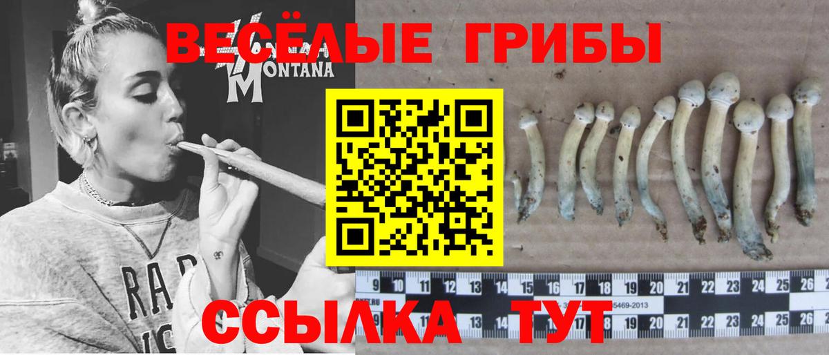 Псилоцибиновые грибы GOLDEN TEACHER  Псилоцибиновые грибы ЛСД  Вход с VPN  Волгодонск 
